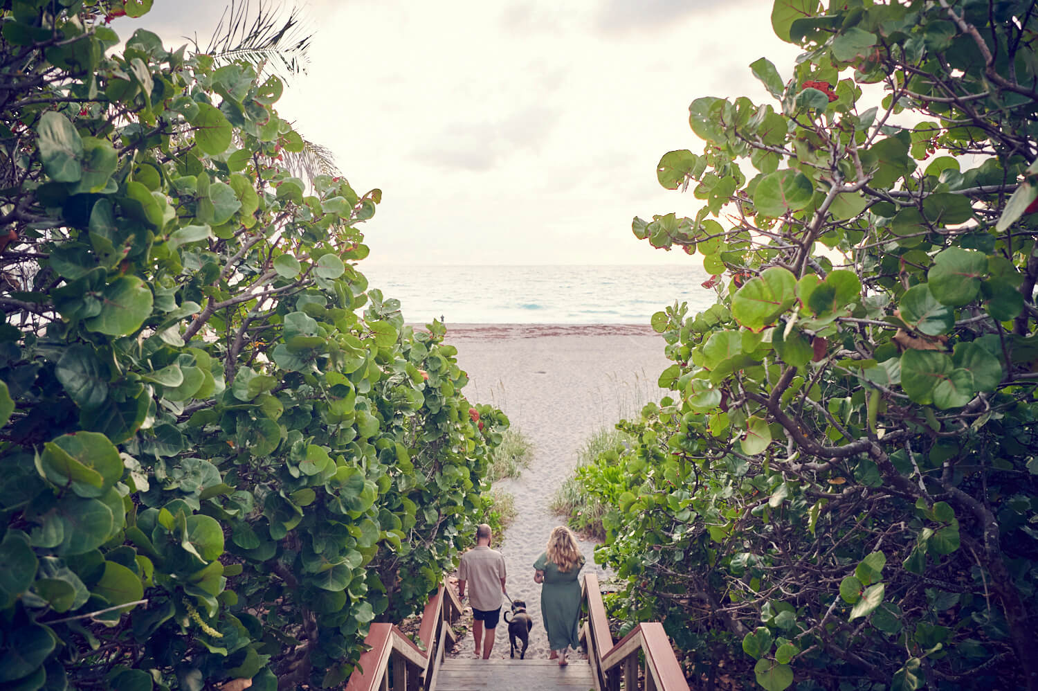 Jupiter Beach Photoshoot with Dogs