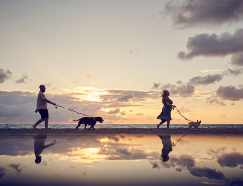 Jupiter Beach Photoshoot with Dogs | Ashley’s Family