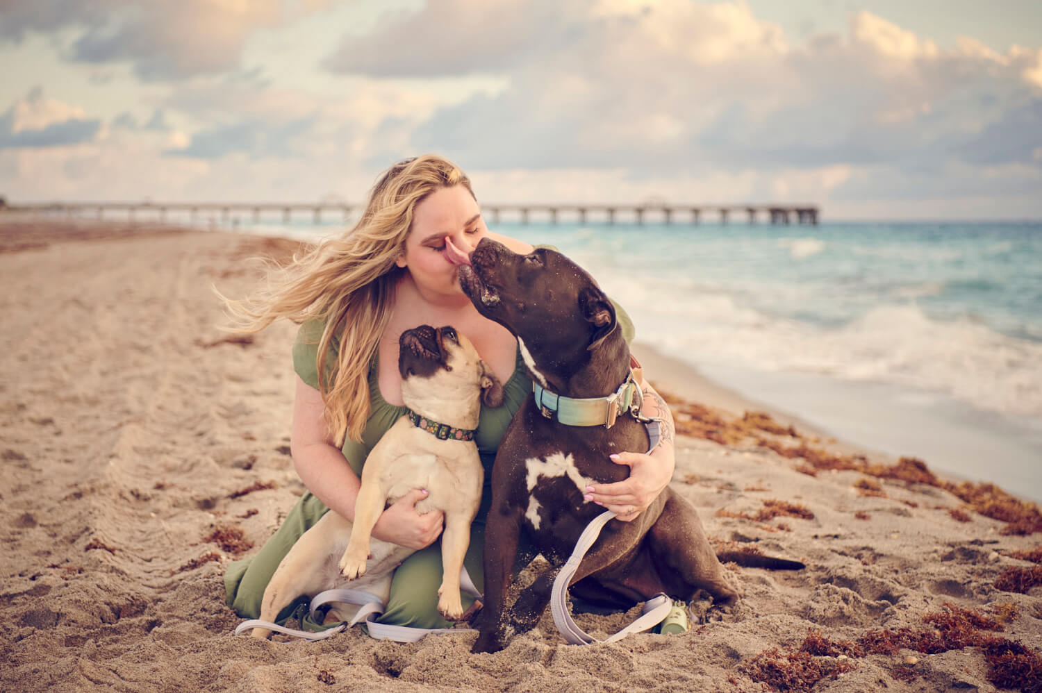 Juno Beach Photoshoot with Dogs