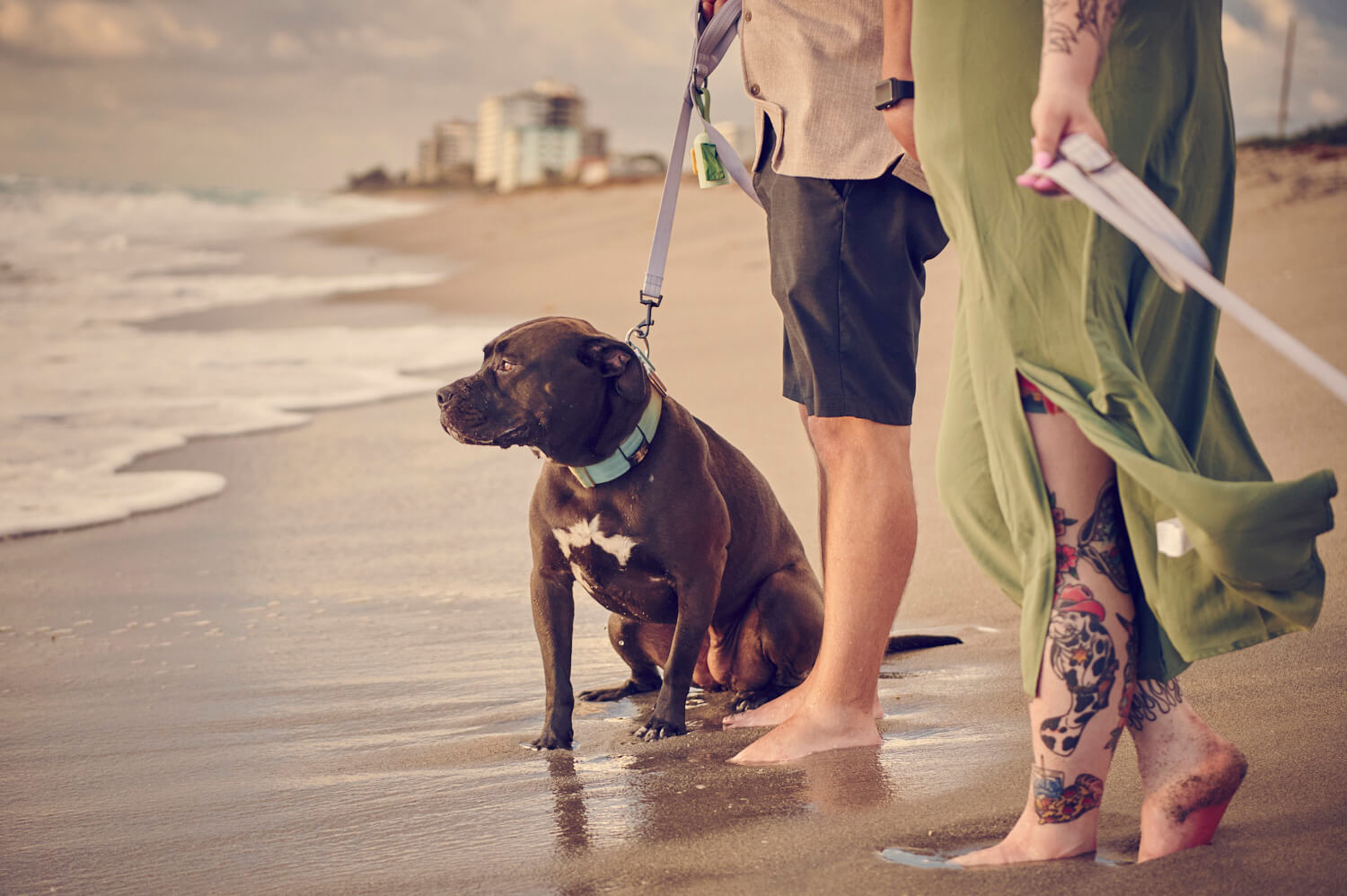 Juno Beach Pier Photoshoot with Dogs