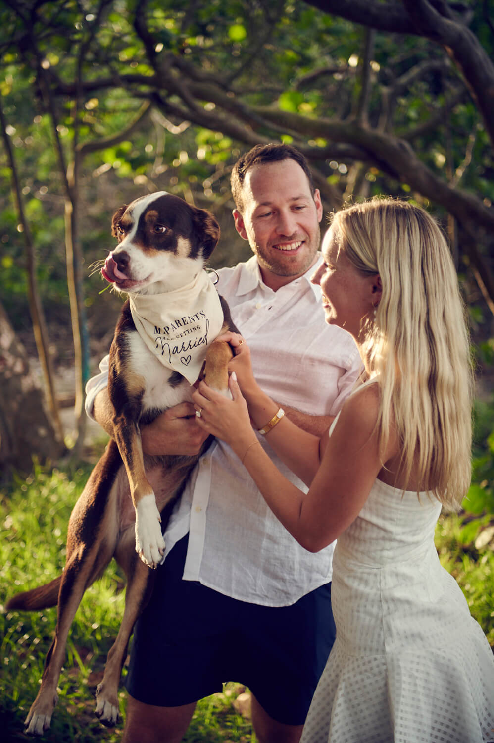 Jupiter Beach Proposal with dog