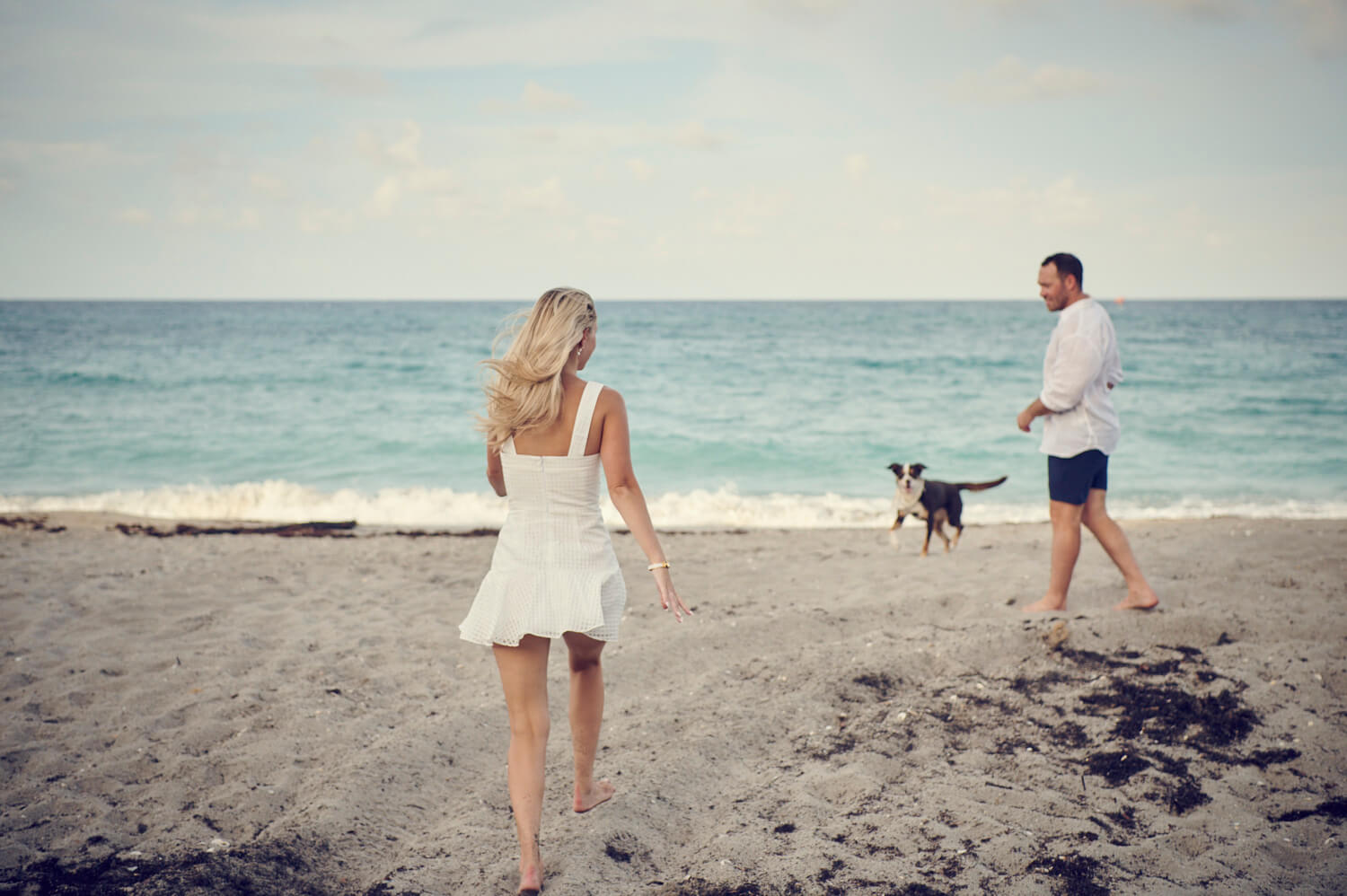 Beach Proposal in Jupiter with Dog