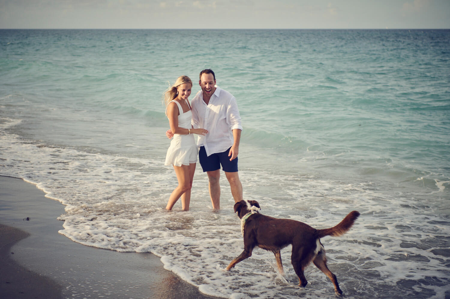 Beach Proposal in Jupiter with Dog