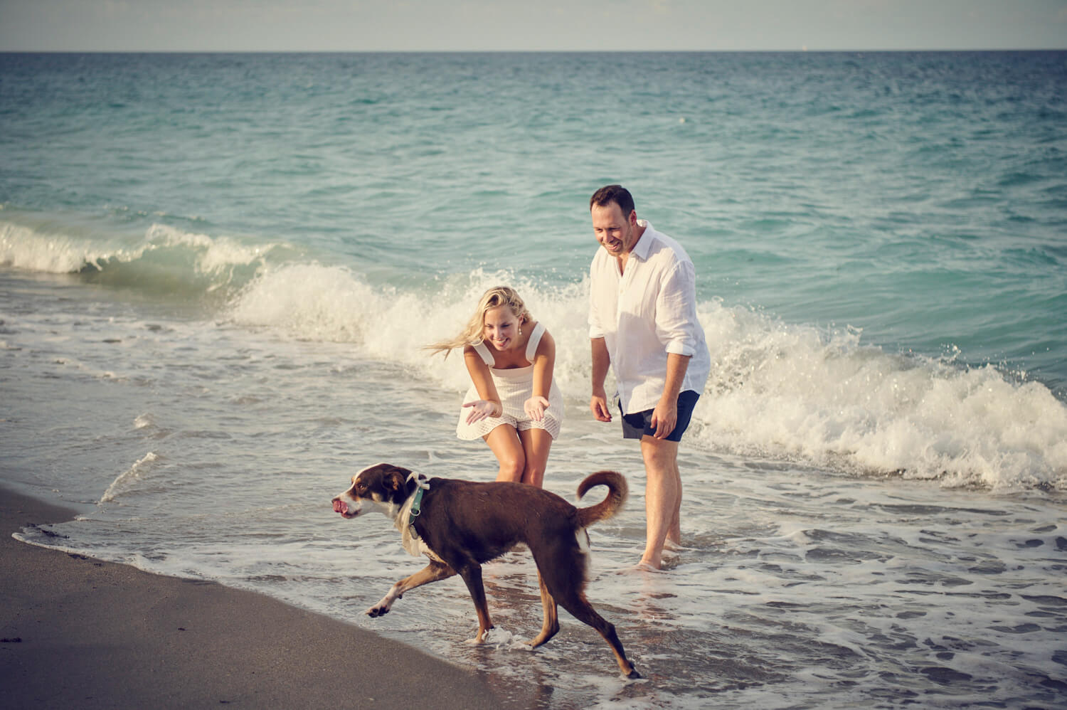 Beach Proposal in Jupiter with Dog